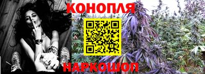 а пвп мука Моздок