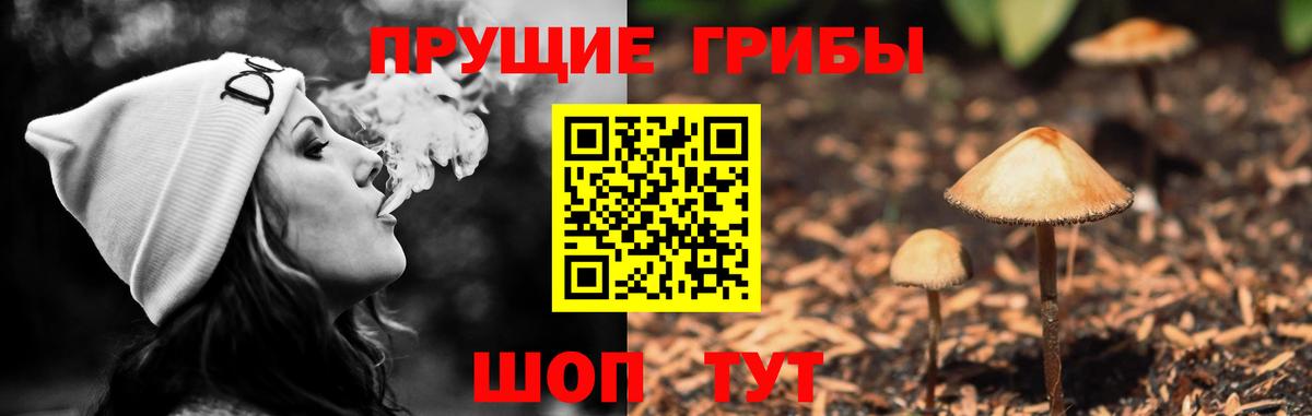 Шахты  закладка  Вход с VPN  Псилоцибиновые грибы мицелий 